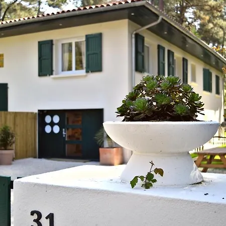 Appartement Nid De Line, Hostal Naou Hossegor Wifi Netflix Soorts-Hossegor